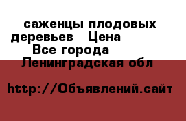 саженцы плодовых деревьев › Цена ­ 6 080 - Все города  »    . Ленинградская обл.